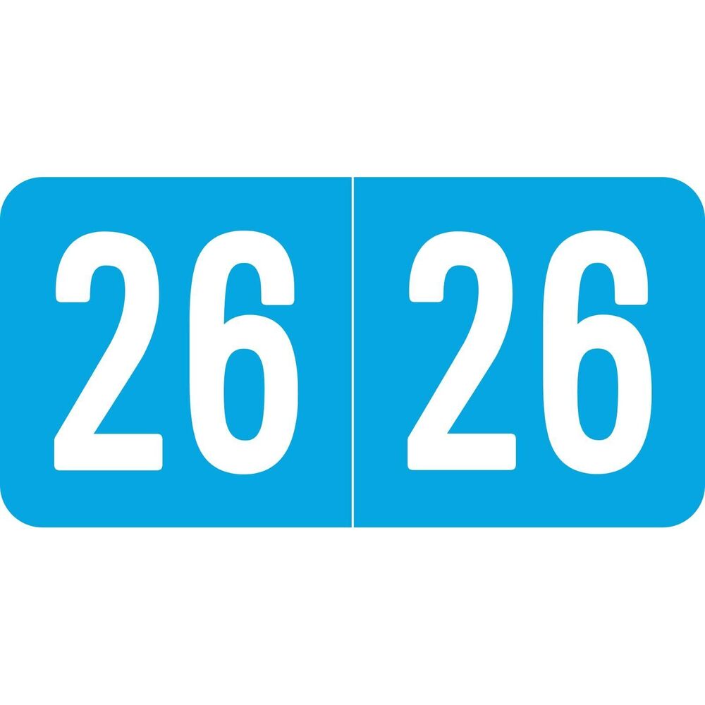 5769 2026 Year Stickers, 500 Pcs File Folder Labels Self Adhesive 3/4" x